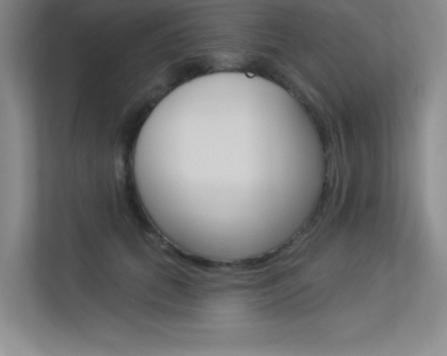 X0000113360655200909151007