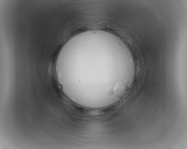 X0000113360659200909151007
