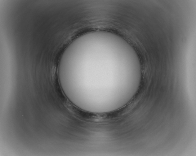 X0000113360660200909151007