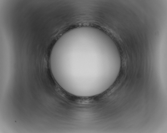 X0000113360661200909151007