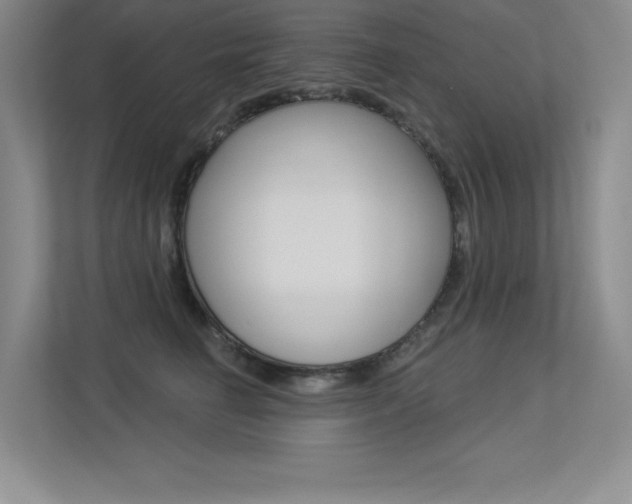 X0000113360662200909151007