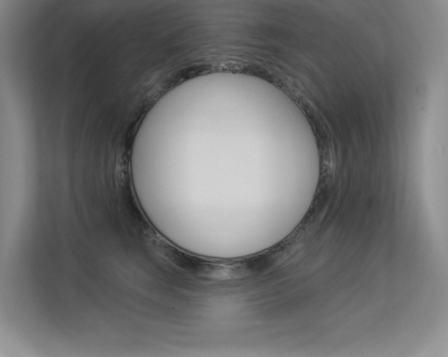 X0000113360663200909151007