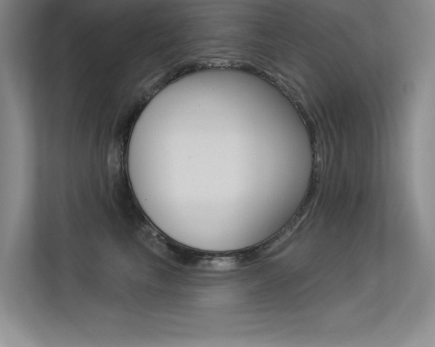 X0000113360665200909151007
