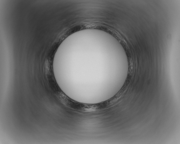 X0000113360667200909151007