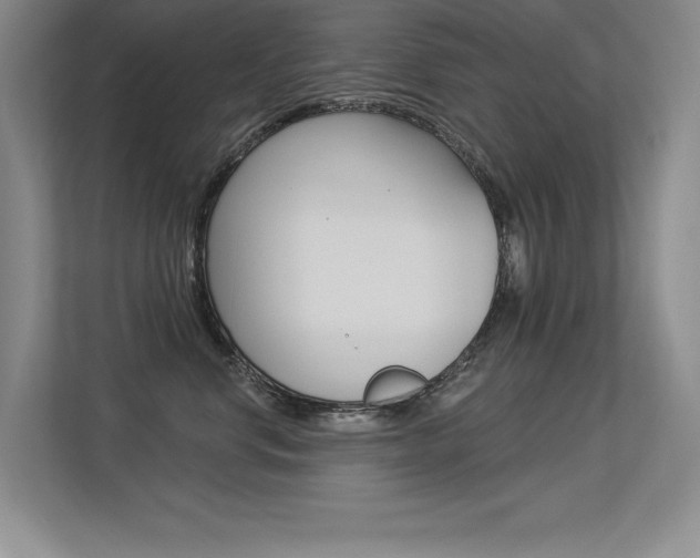X0000113360668200909151007