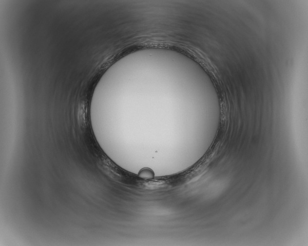 X0000113360669200909151008