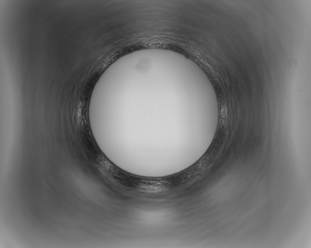X0000113360671200909151008