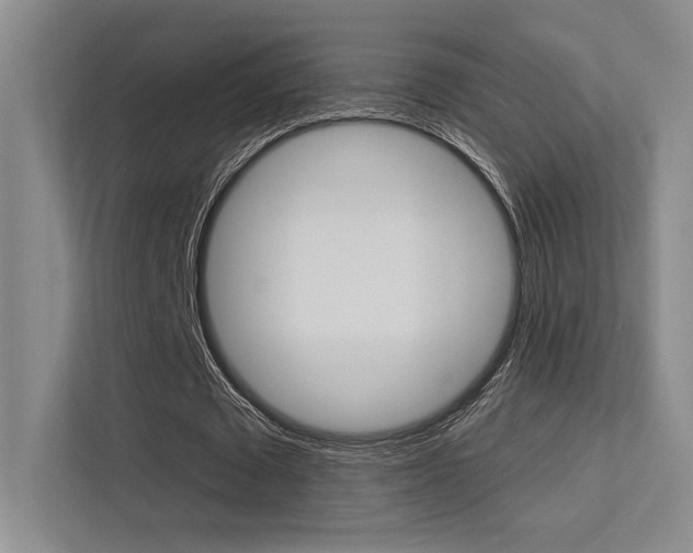 X0000113360673200909151007