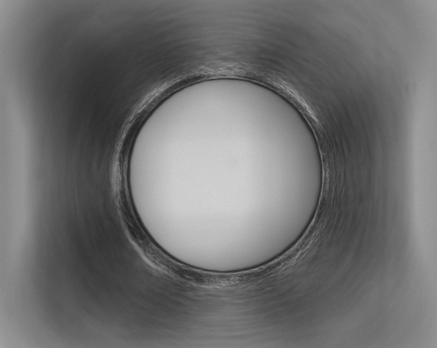 X0000113360674200909151007