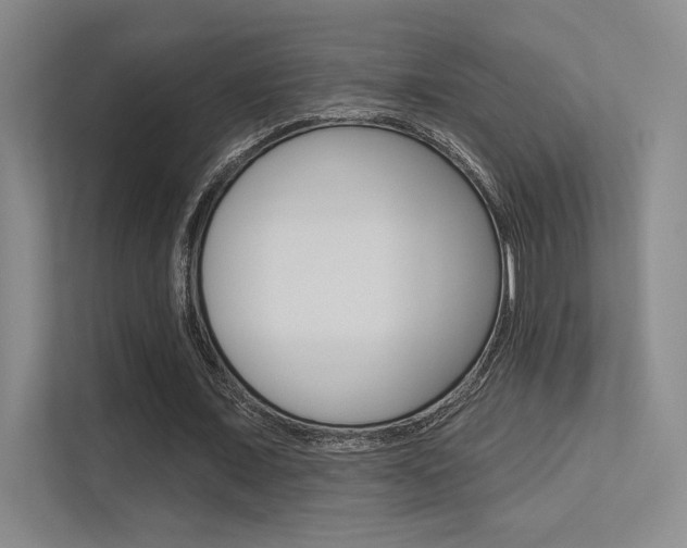 X0000113360675200909151007