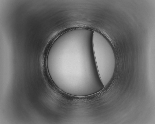 X0000113360679200909151007