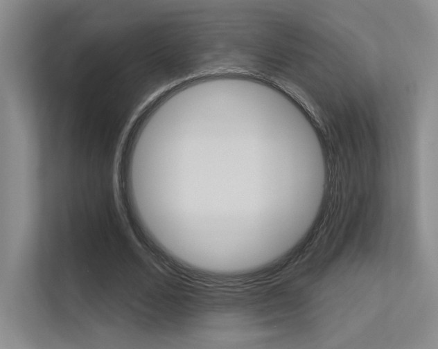 X0000113360680200909151007