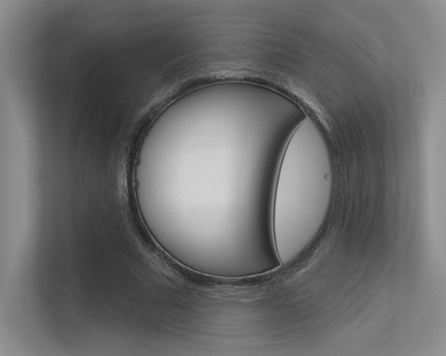 X0000113360681200909151007
