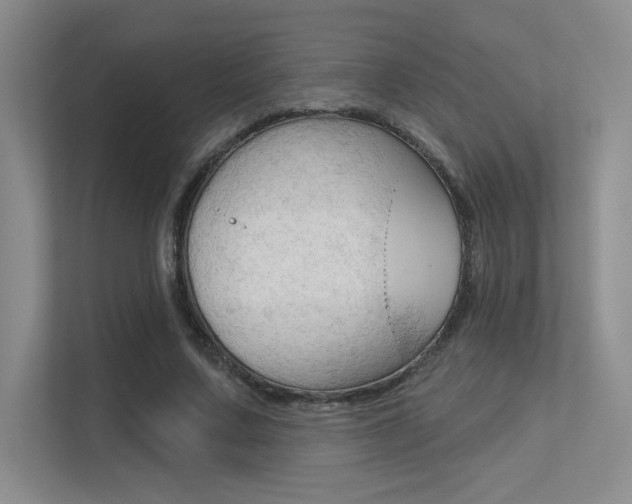 X0000113360683200909151007