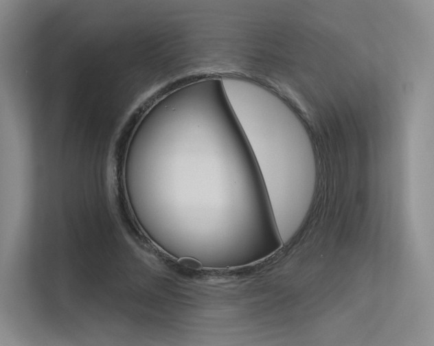 X0000113360684200909151007