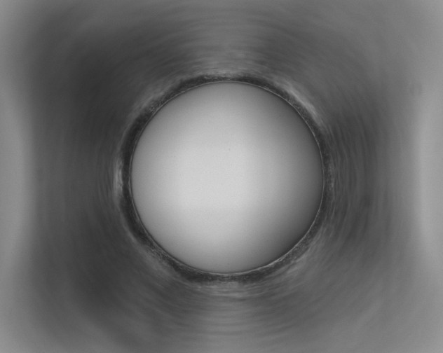 X0000113360685200909151007