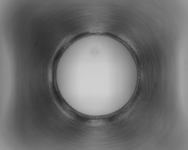 X0000113360686200909151007