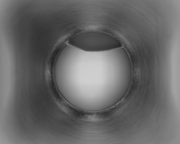 X0000113360688200909151007