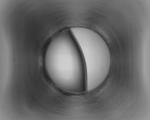X0000113360689200909151007