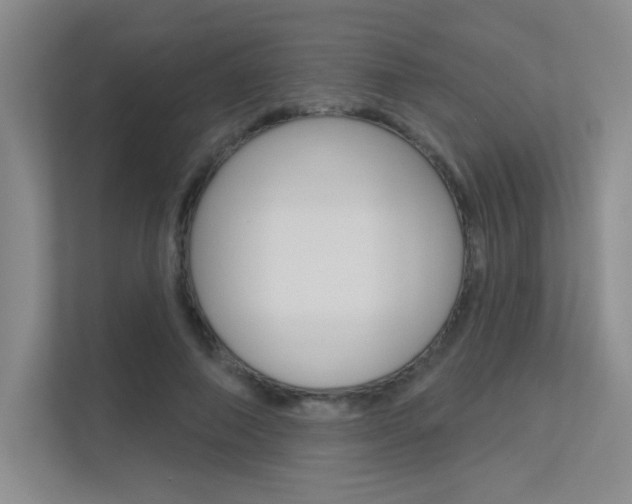 X0000113360690200909151007