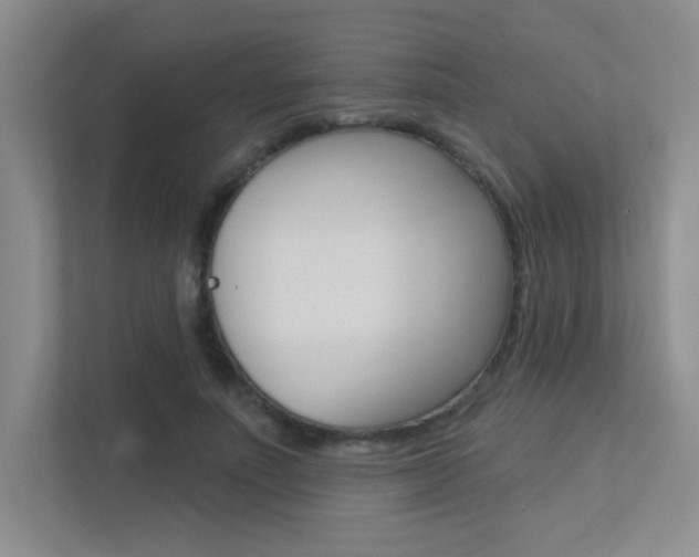 X0000113360691200909151007