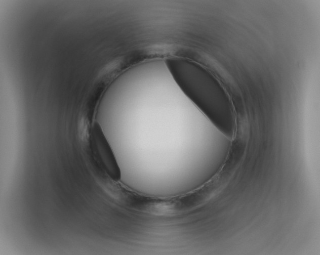 X0000113360692200909151007