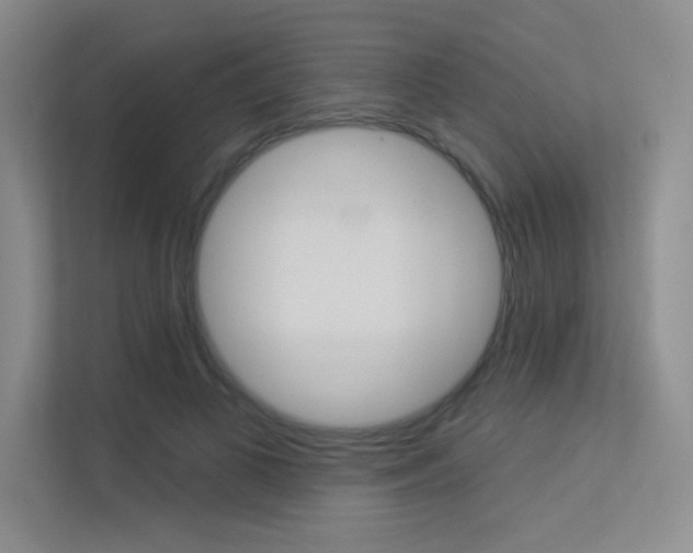 X0000113360693200909151007