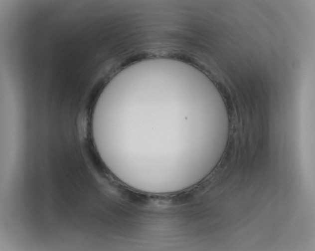X0000113360694200909151007