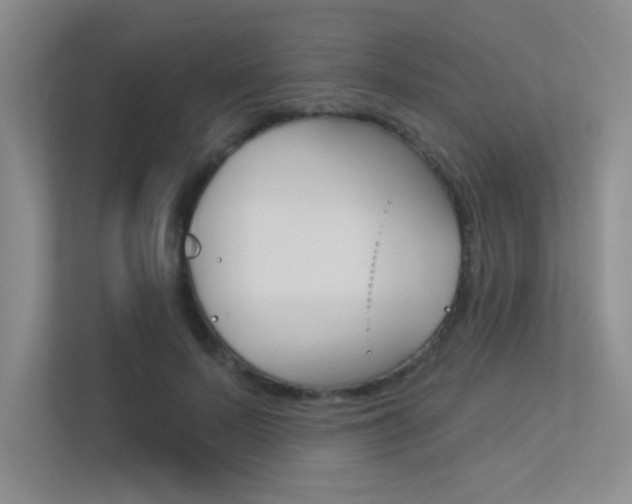 X0000113360695200909151007