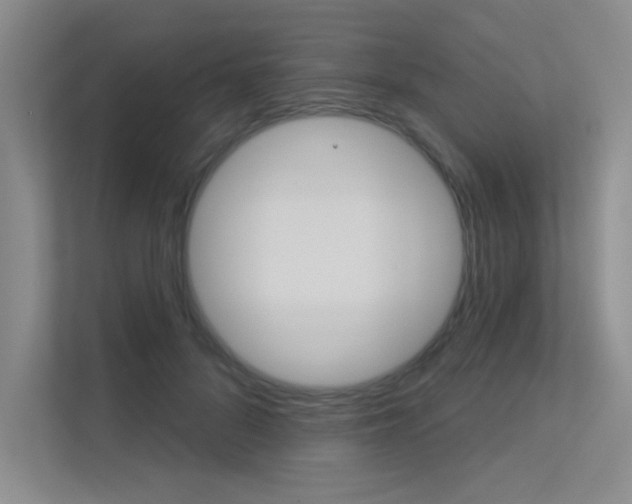 X0000113360696200909151007