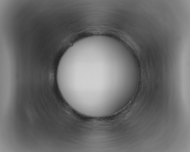 X0000113360697200909151007
