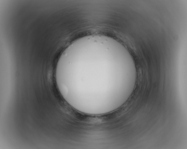 X0000113360698200909151007