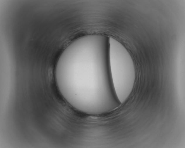 X0000113360699200909151007