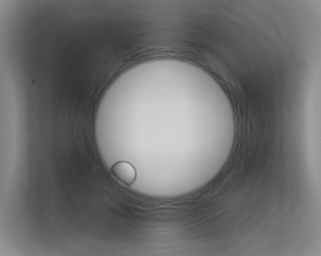 X0000113360700200909151007