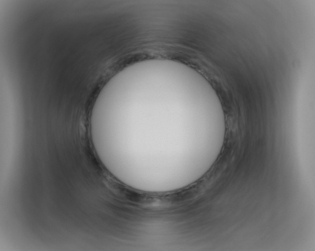 X0000113360702200909151007