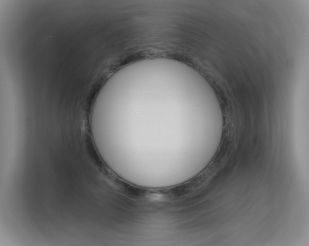 X0000113360706200909151006