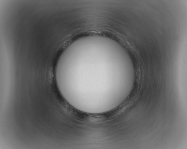 X0000113360707200909151006