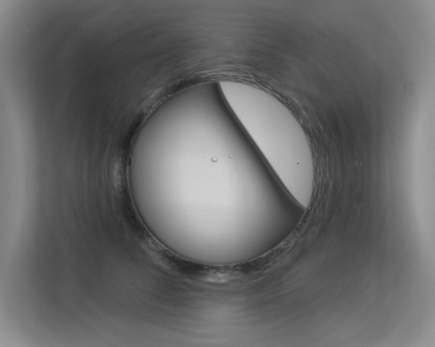 X0000113360708200909151006