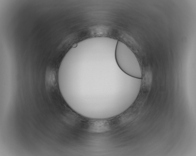 X0000113360709200909151006