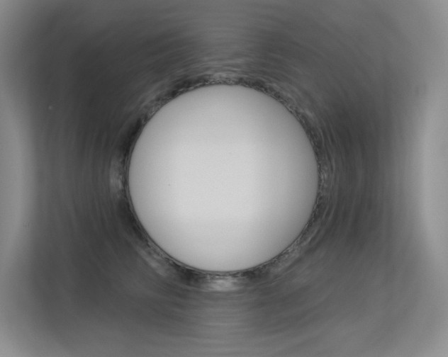 X0000113360710200909151006