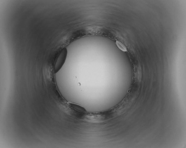 X0000113360712200909151006