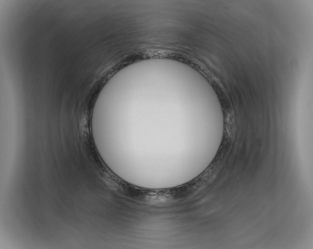 X0000113360714200909151006