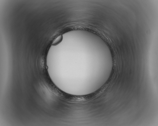 X0000113360715200909151006