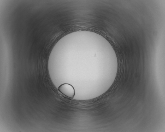 X0000113360716200909151006