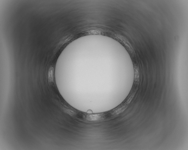 X0000113360717200909151006