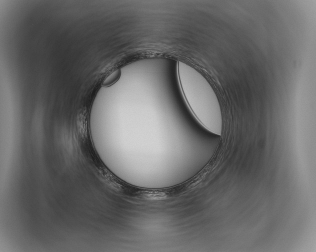 X0000113360719200909151006
