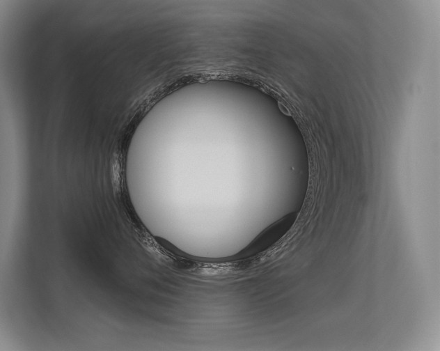 X0000113360720200909151006