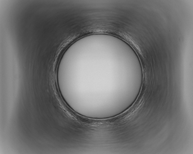 X0000113360721200909151006