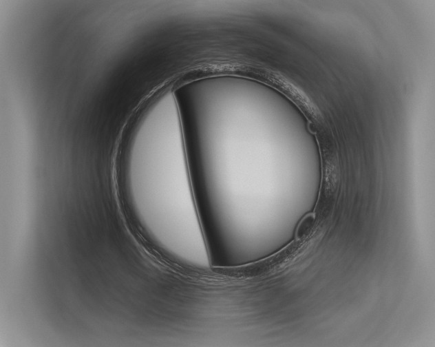 X0000113360722200909151006