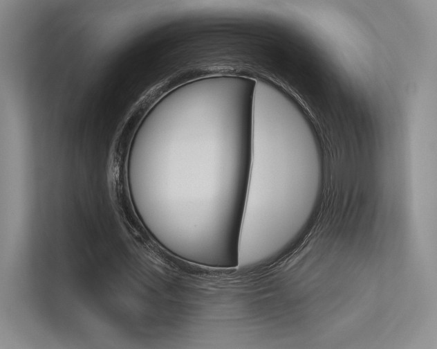 X0000113360723200909151006